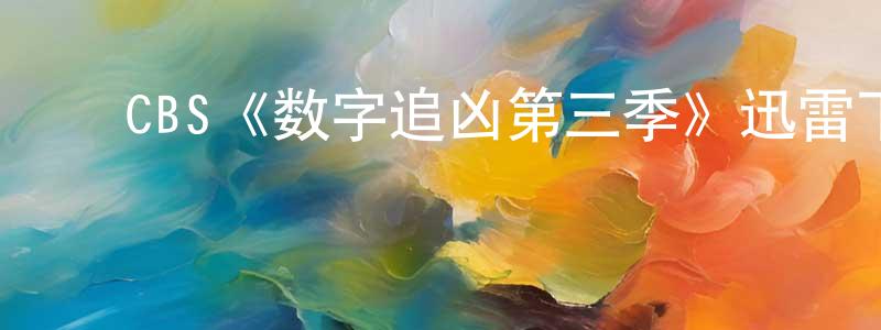 陈丽棠发布CBS《数字追凶第三季》迅雷下载/在线观看/百度云-犯罪/历史载-美剧天堂